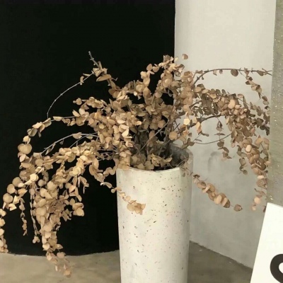 Furry绘画笔刷实用运用福瑞群